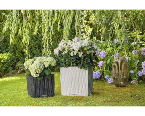 Lechuza Cube Cottage plantenbak, kunststof, 30x30x30 cm, granieten afwerking, inclusief zelfbewateringssysteem en waterniveau-indicator.