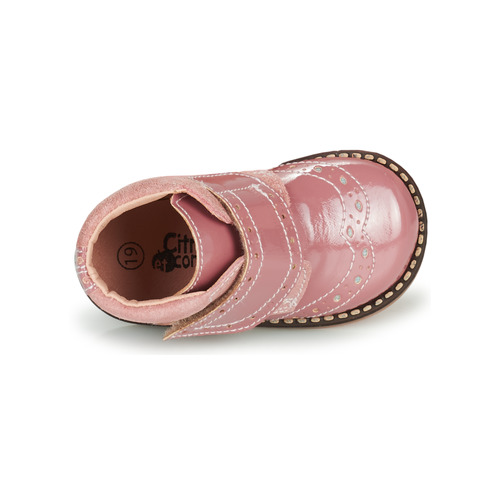Citrouille et Compagnie - PROYAL - Rose vernis