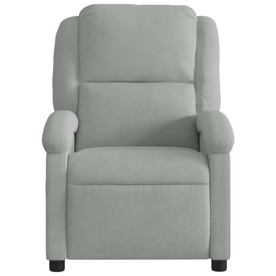vidaXL - Fauteuil - Grijs - Fluweel