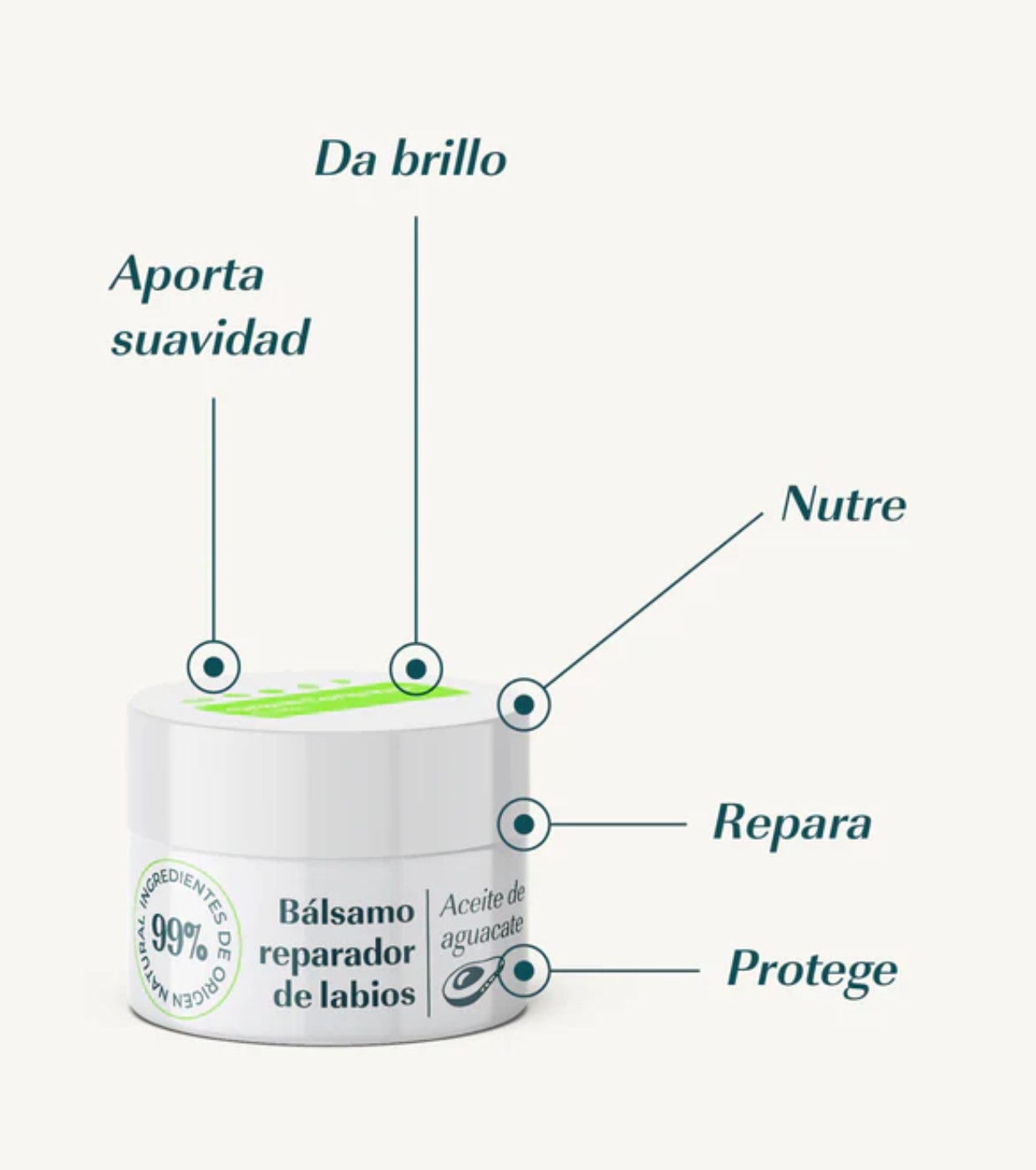 Green Cornerss - Bálsamo labial reparador com abacate