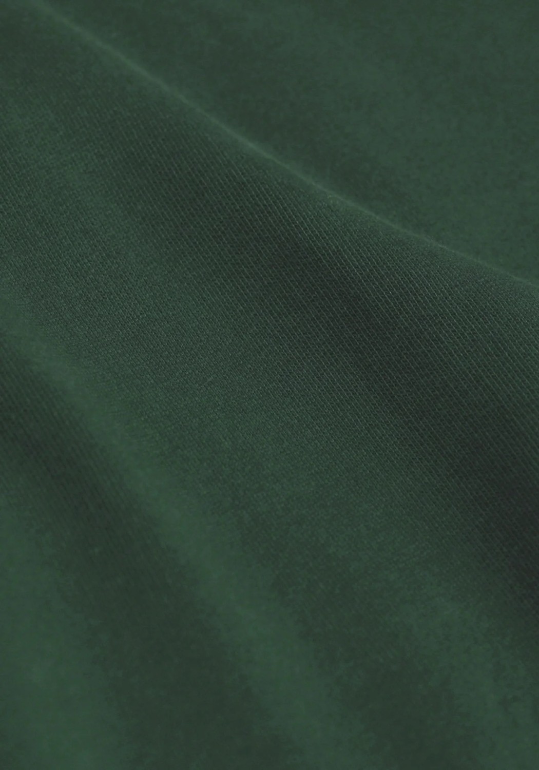 Colorful Standard Damen-T-Shirt Colorful Standard emerald green online kaufen