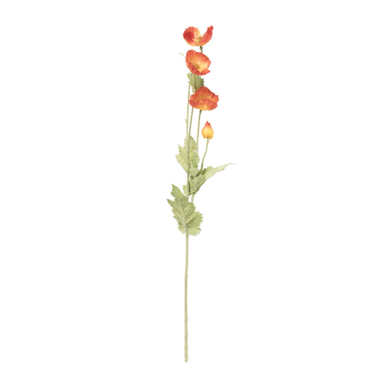 Klaproos - oranje - 60 cm