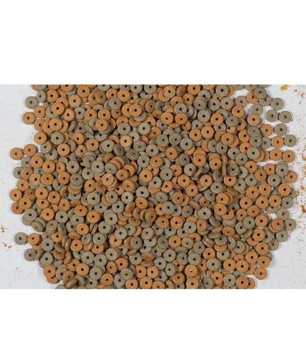 Tetra Fischfutter FunTips Tablets