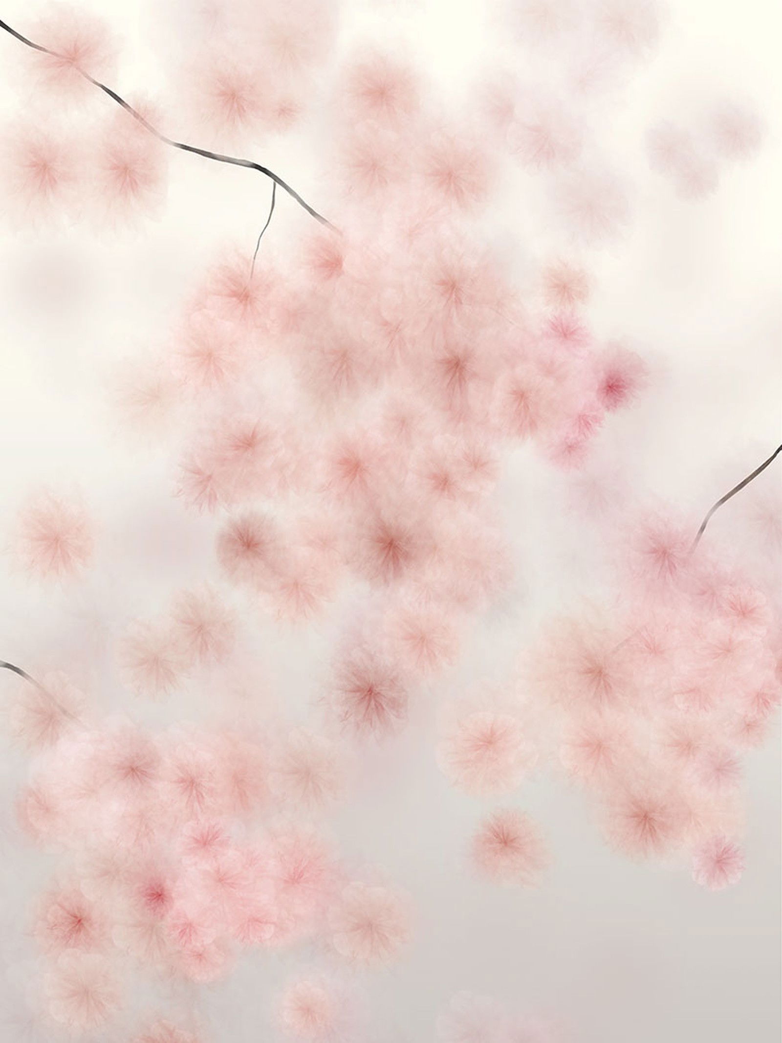 Pink  breath 3 by Margarete Schrüfer - Limited Edition. Edition of: 150. Signed.