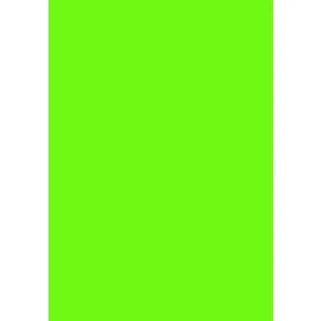 Maestro Bastelpapier maigrün, 120g/m², 50 Stück