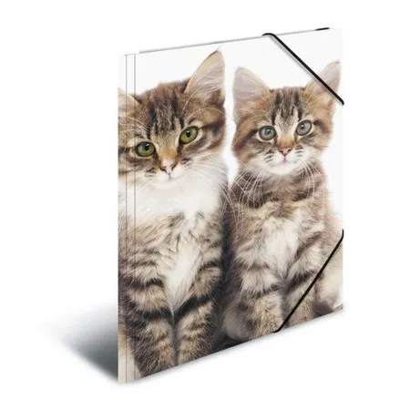 HERMA Sammelmappe Katzen, A3