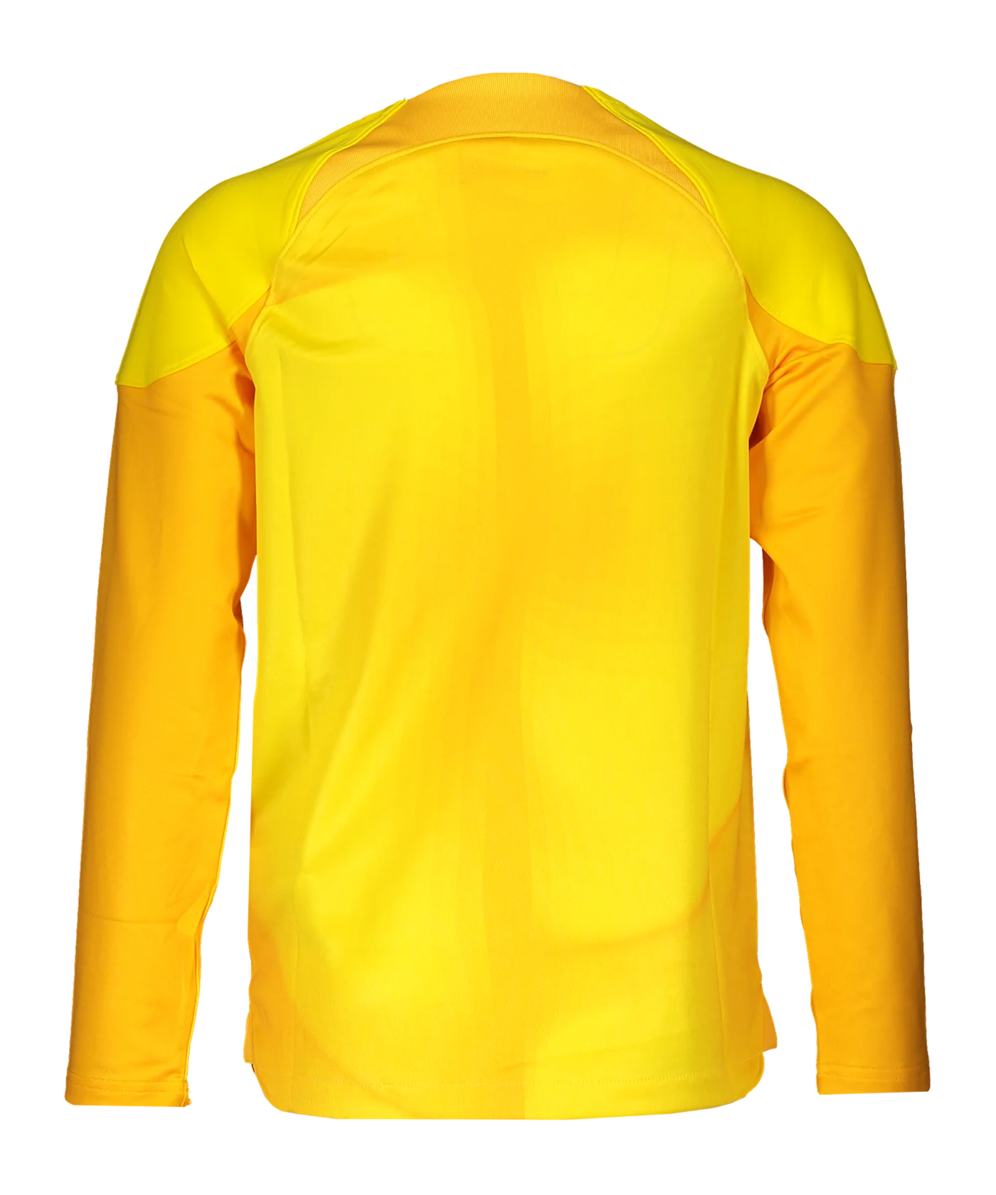 Nike Gardien IV Torwarttrikot langarm Kids F719