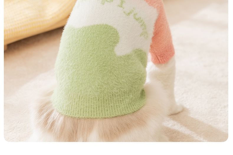 Cissilli - Letterkleurblok Pet Top