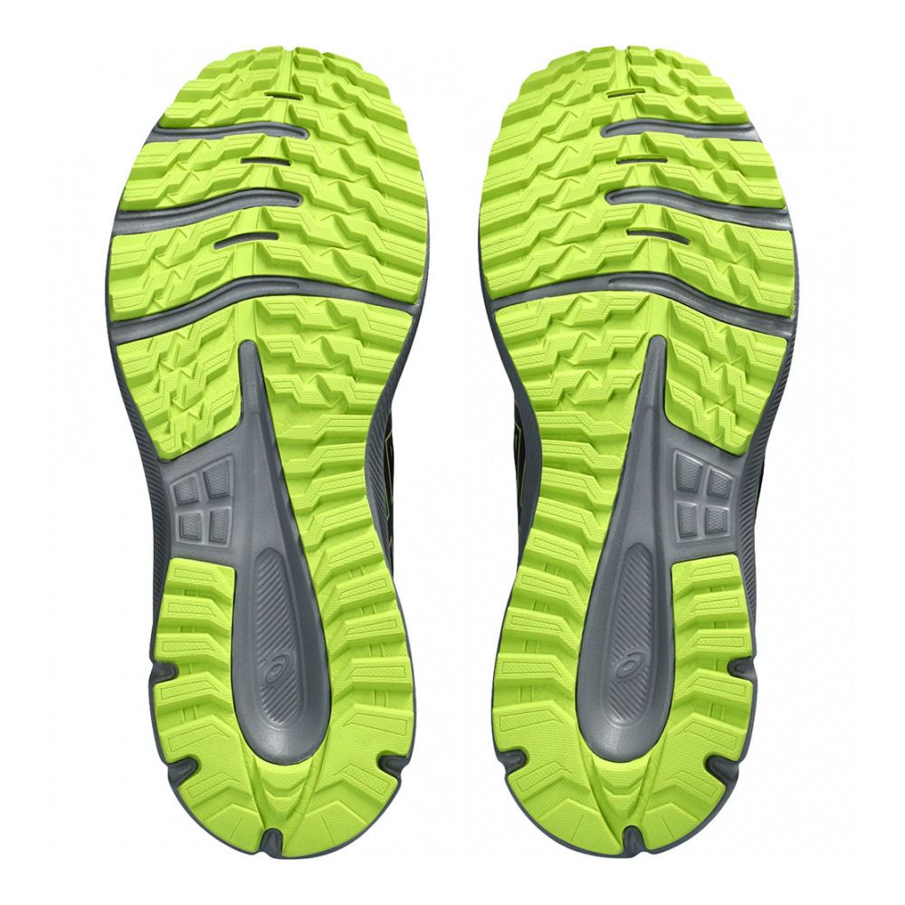 Asics TRAIL SCOUT 3 - Chaussures de trail Homme black/birch