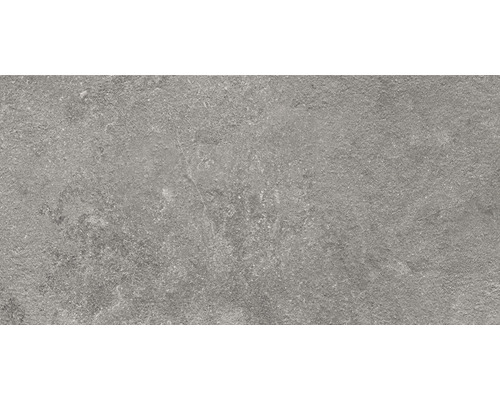 FLAIRSTONE porseleinen terrastegel Luna Silver gerectificeerde rand 100 x 50 x 2 cm