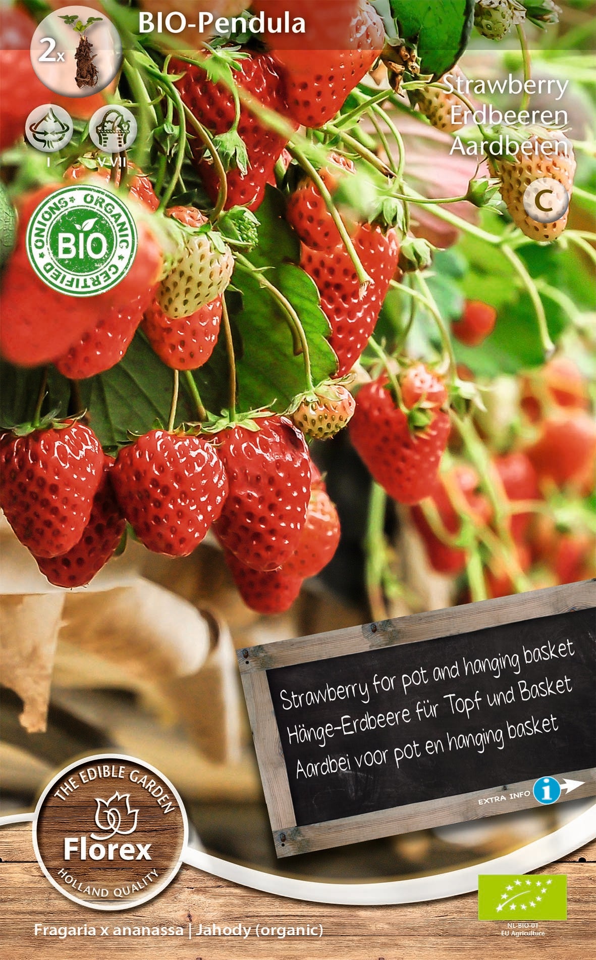 Florex bio aardbeien (Fragaria 'Pendula') 2 stuks