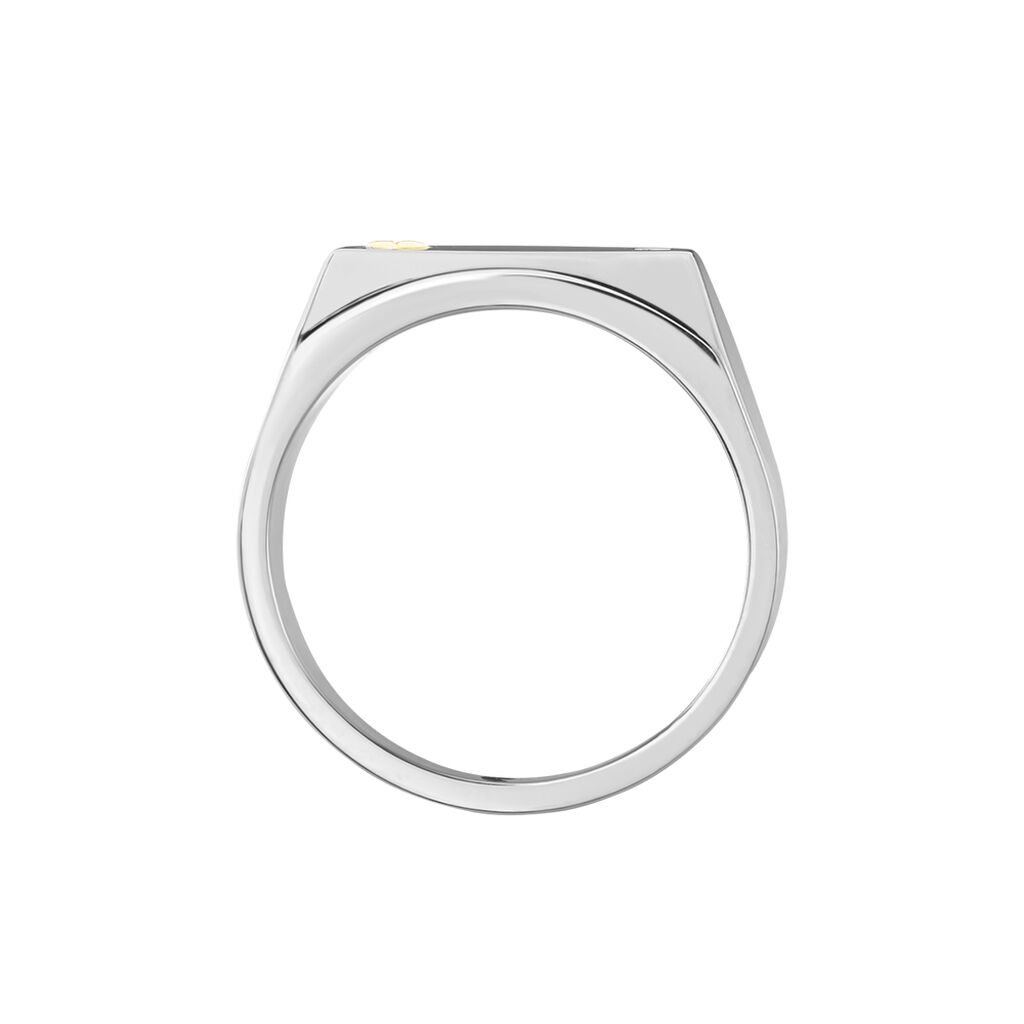 Chevalière Jourdan Lord Acier Bicolore Diamant