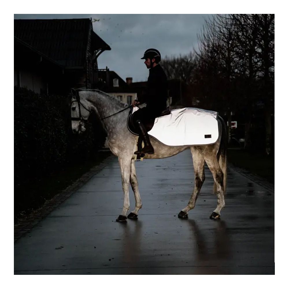 Kentucky REFLECTIVE - Couvre-reins silver