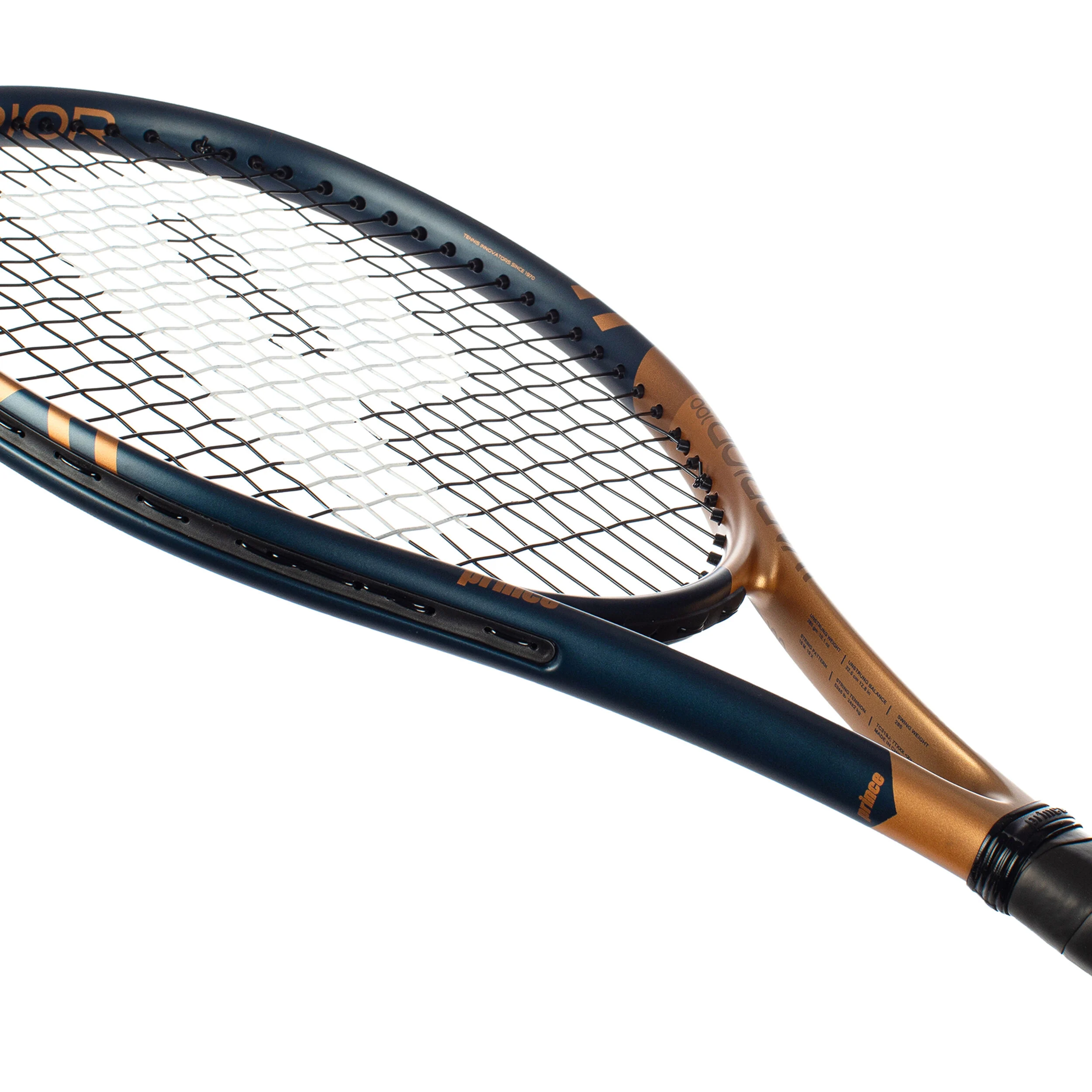 Prince Warrior 100 (300g) (Cordée)