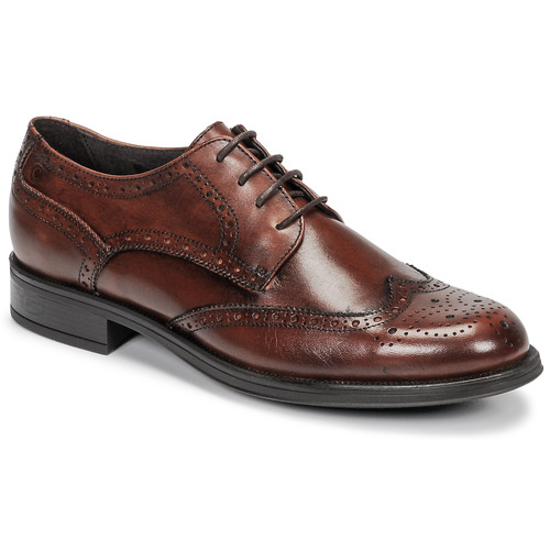 Carlington - LOUVIAN - Marron