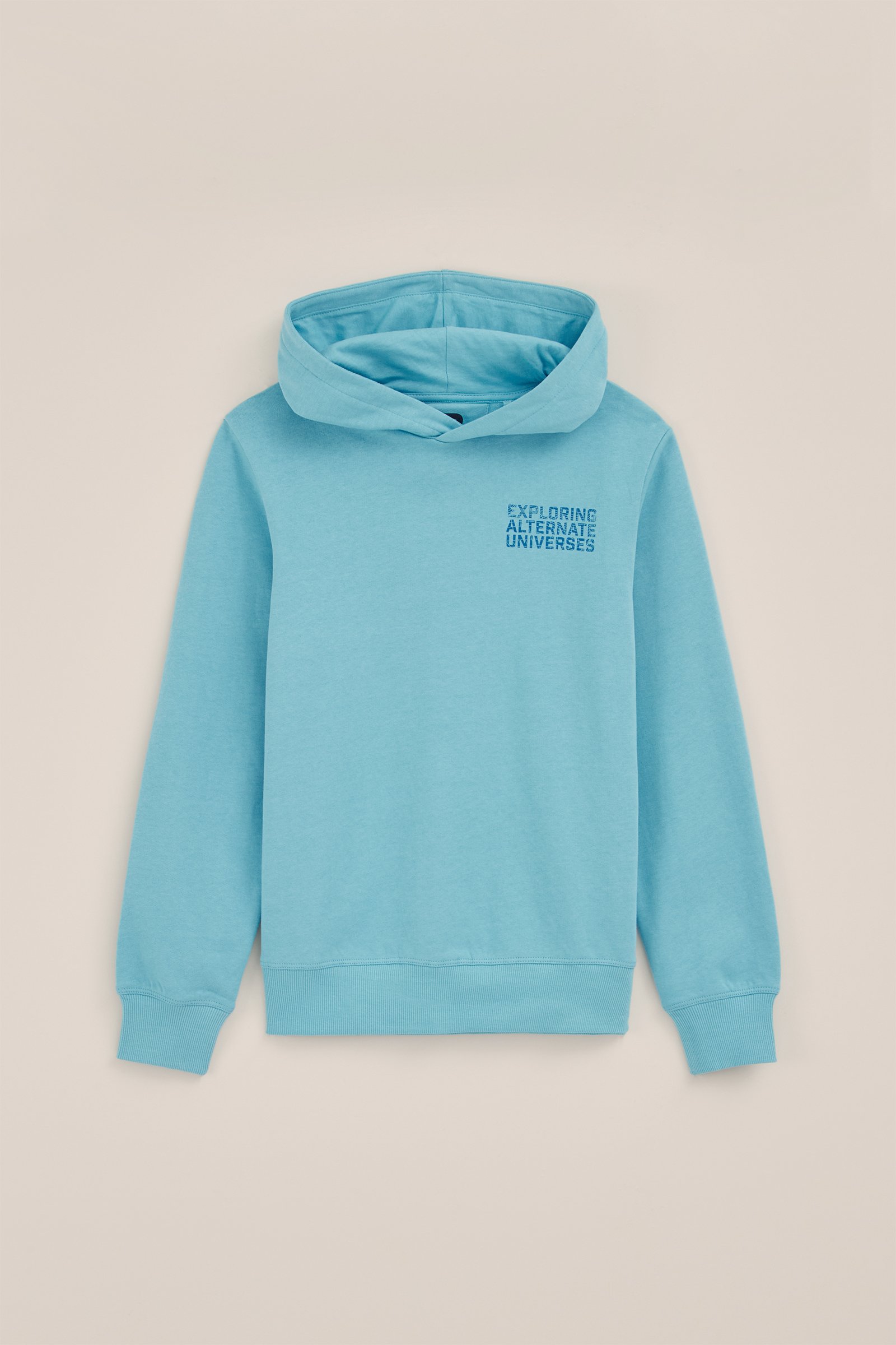 Jongens hoodie met opdruk Blue Ridge IJsblauw