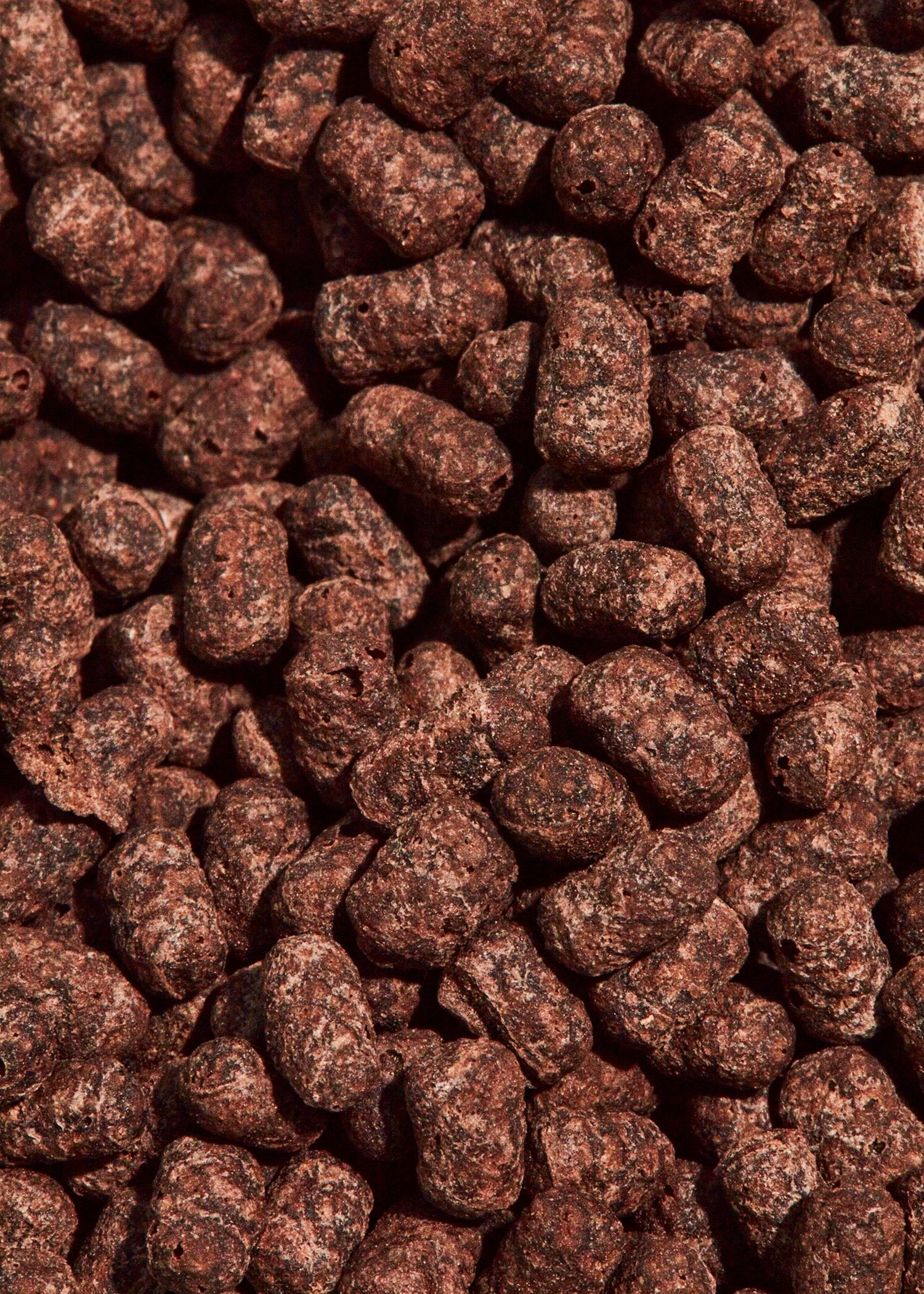 Soja Protein Crispies 77 % mit Kakao 1 kg