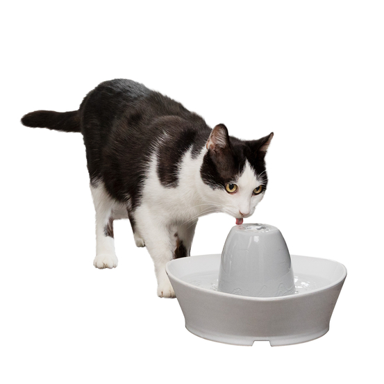 Fontaine Streamside ceramique 1.8L