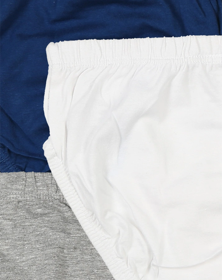 Slip CHAMPIONS 5er-Pack in blau/weiß/grau