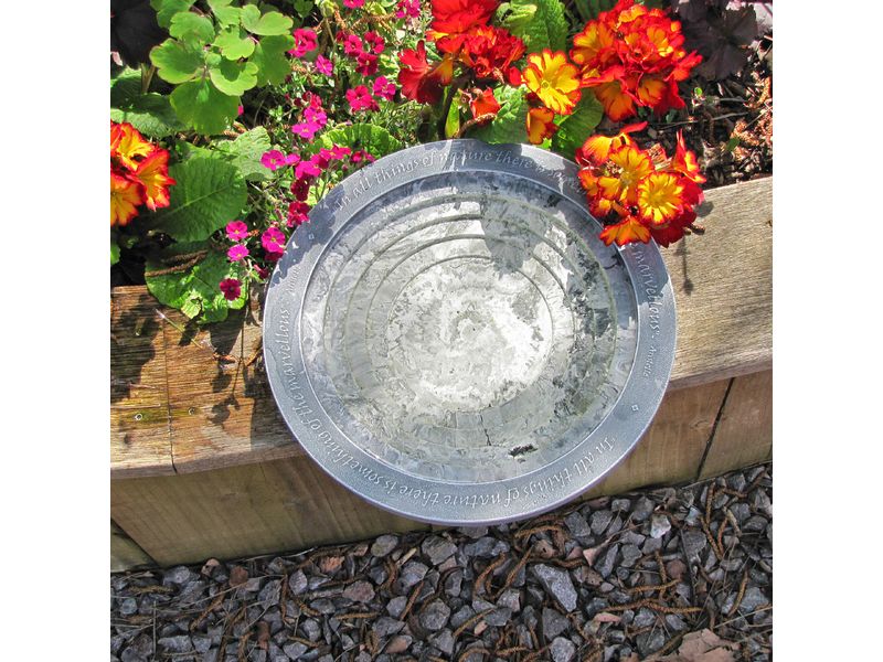 Wildlife World Vogeltränke Oasis 30 x 30 x 5.5 cm Wasserstelle für Wildtiere