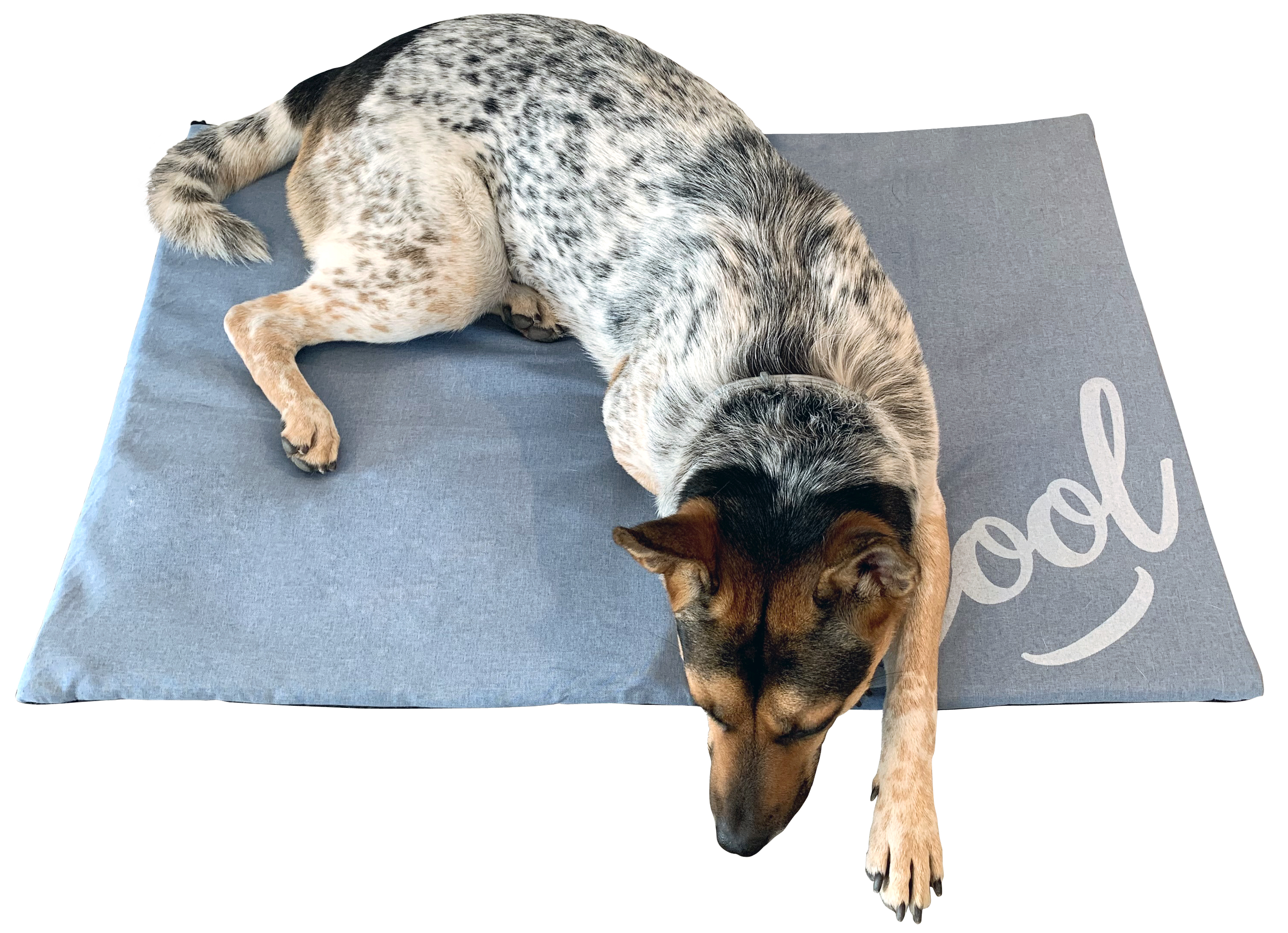 MATELAS RAFRAICHISSANT PARA CHIEN