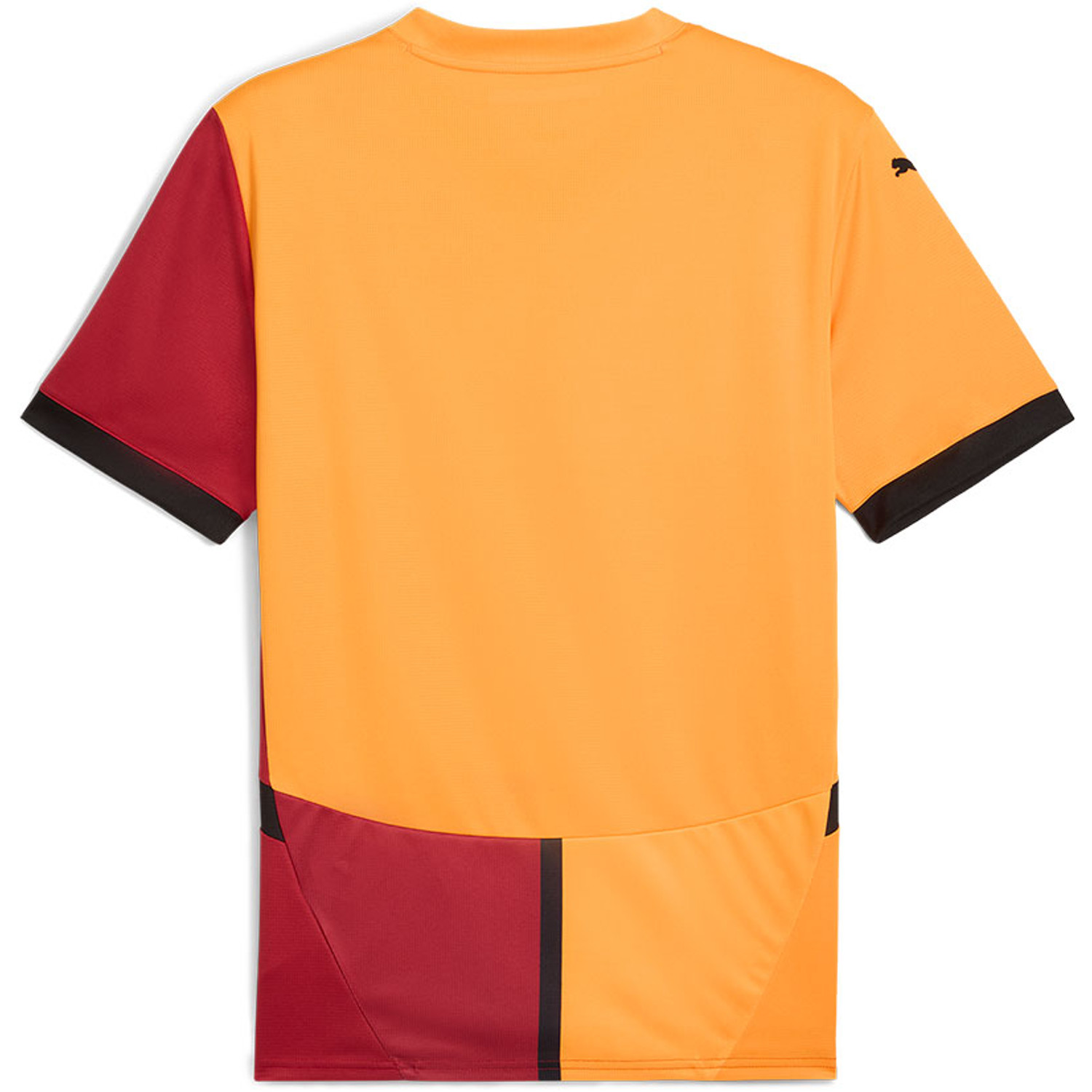 Puma Galatasaray Thuis Shirt 2024/2025