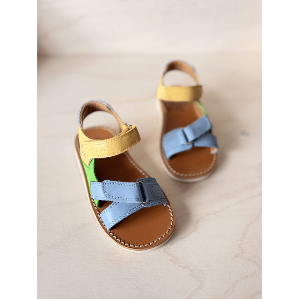 POM D'API - Waff Jimy - Azure Verde Jaune