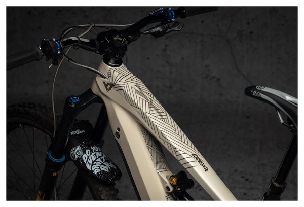 Kit de Protection Cadre Dyedbro Ebike Stay Free Noir
