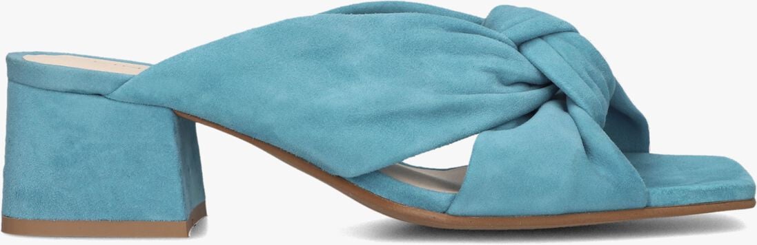 blauwe lina locchi muiltjes l1407