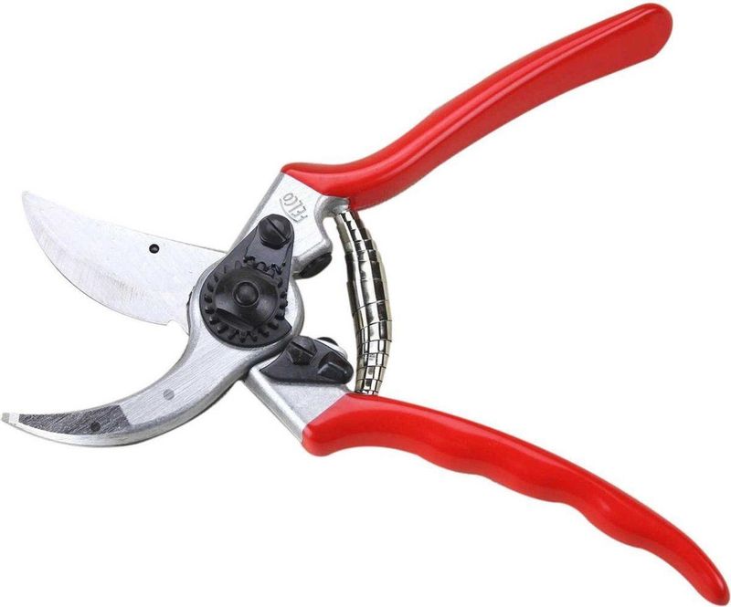 Felco - Model 2 - Snoeischaar - Rood - Staal
