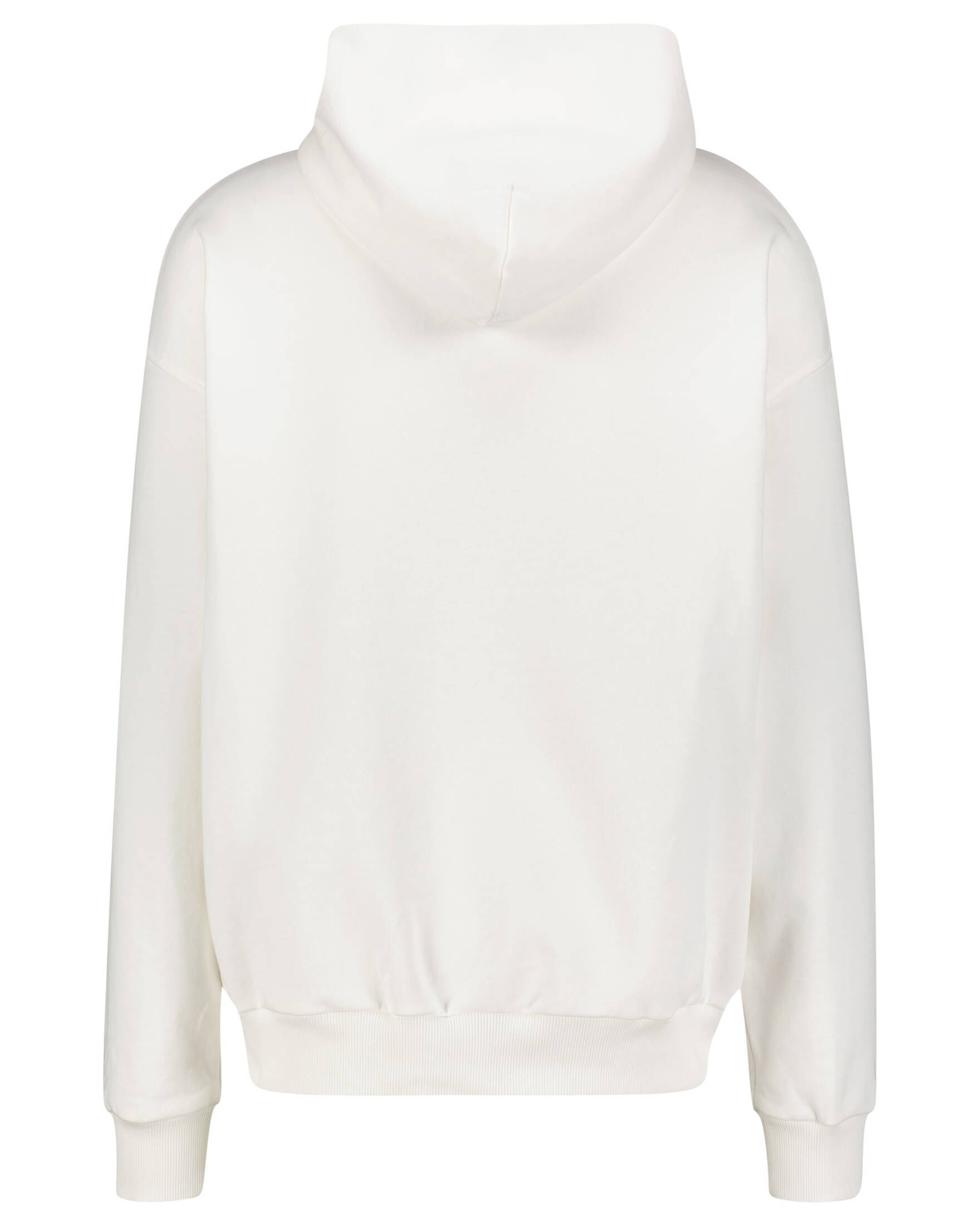 BLUE SKY INN| Herren Hoodie MOUNTAIN HOODIE