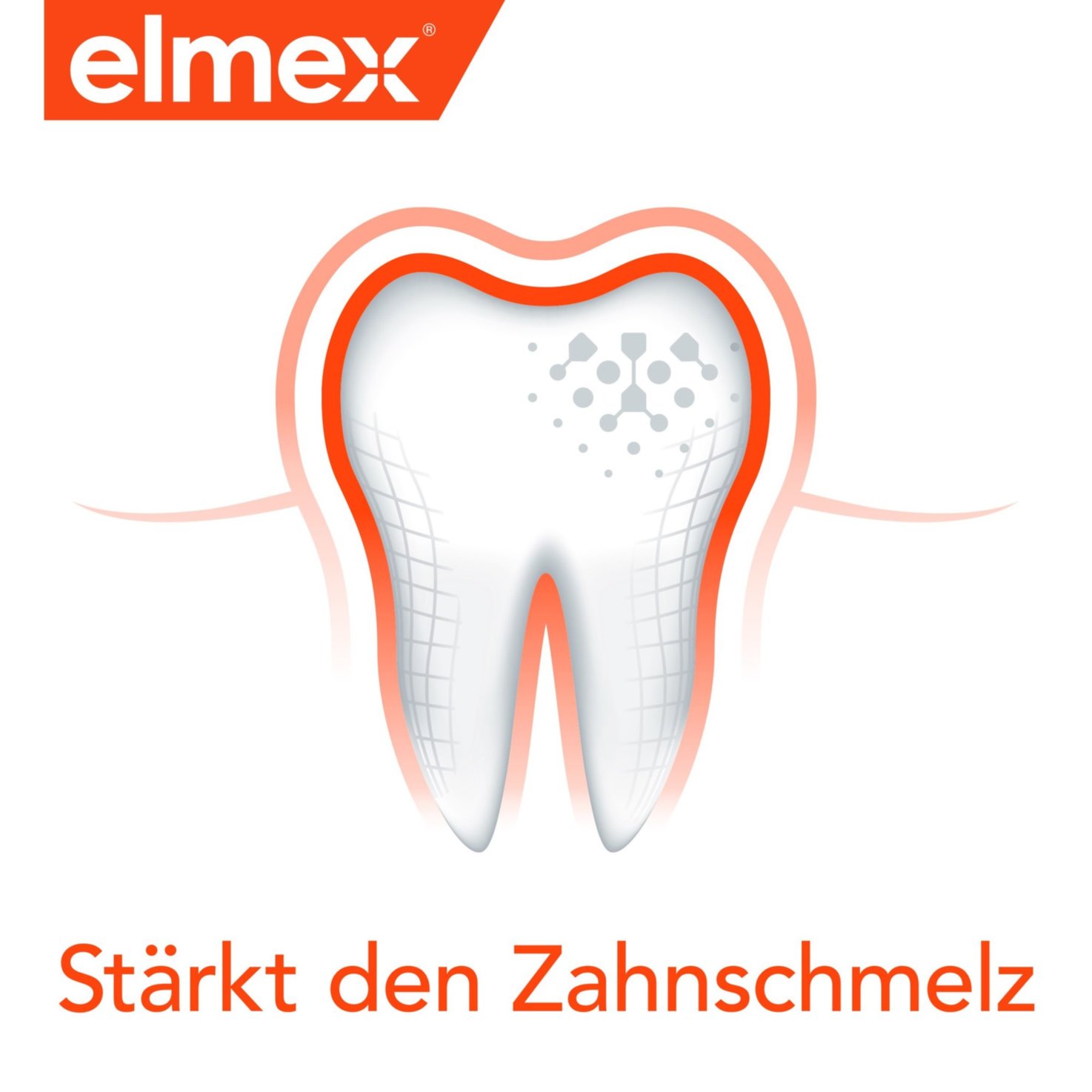 Elmex Travel Set Zahnpasta & Zahnbürste