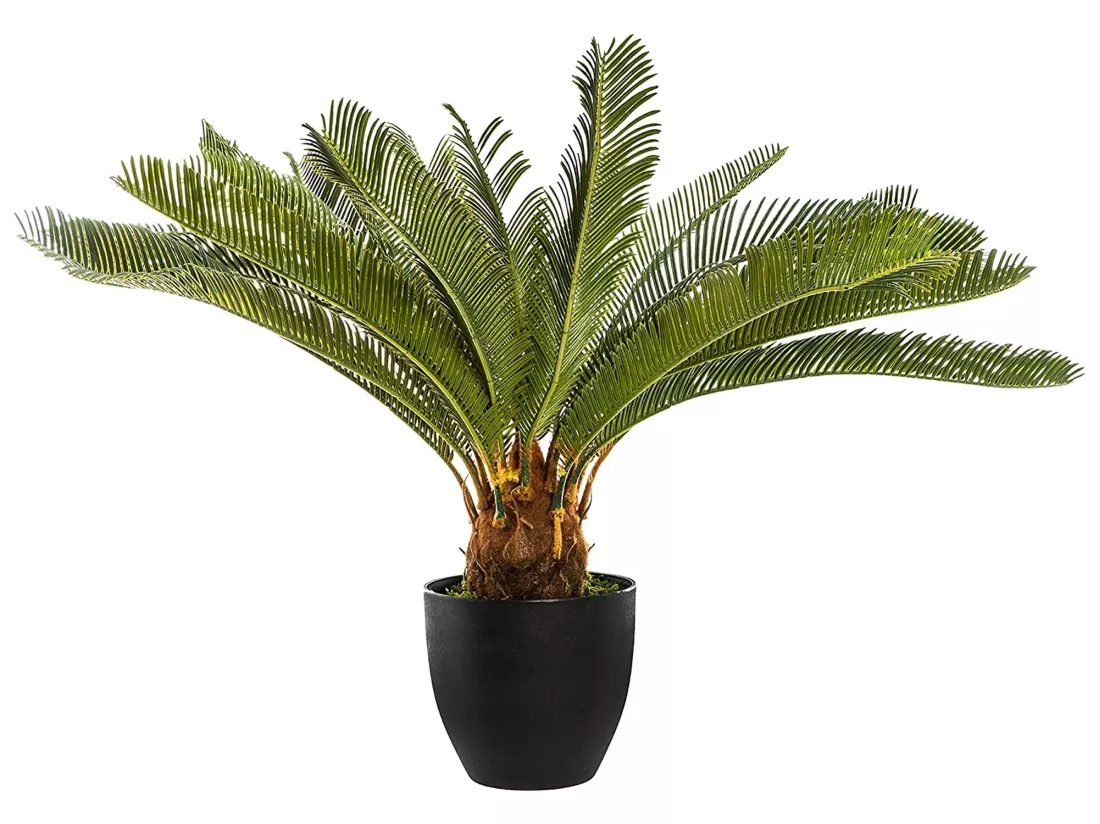 Plant d'ananas l.86 x p.86 x h 72, vert