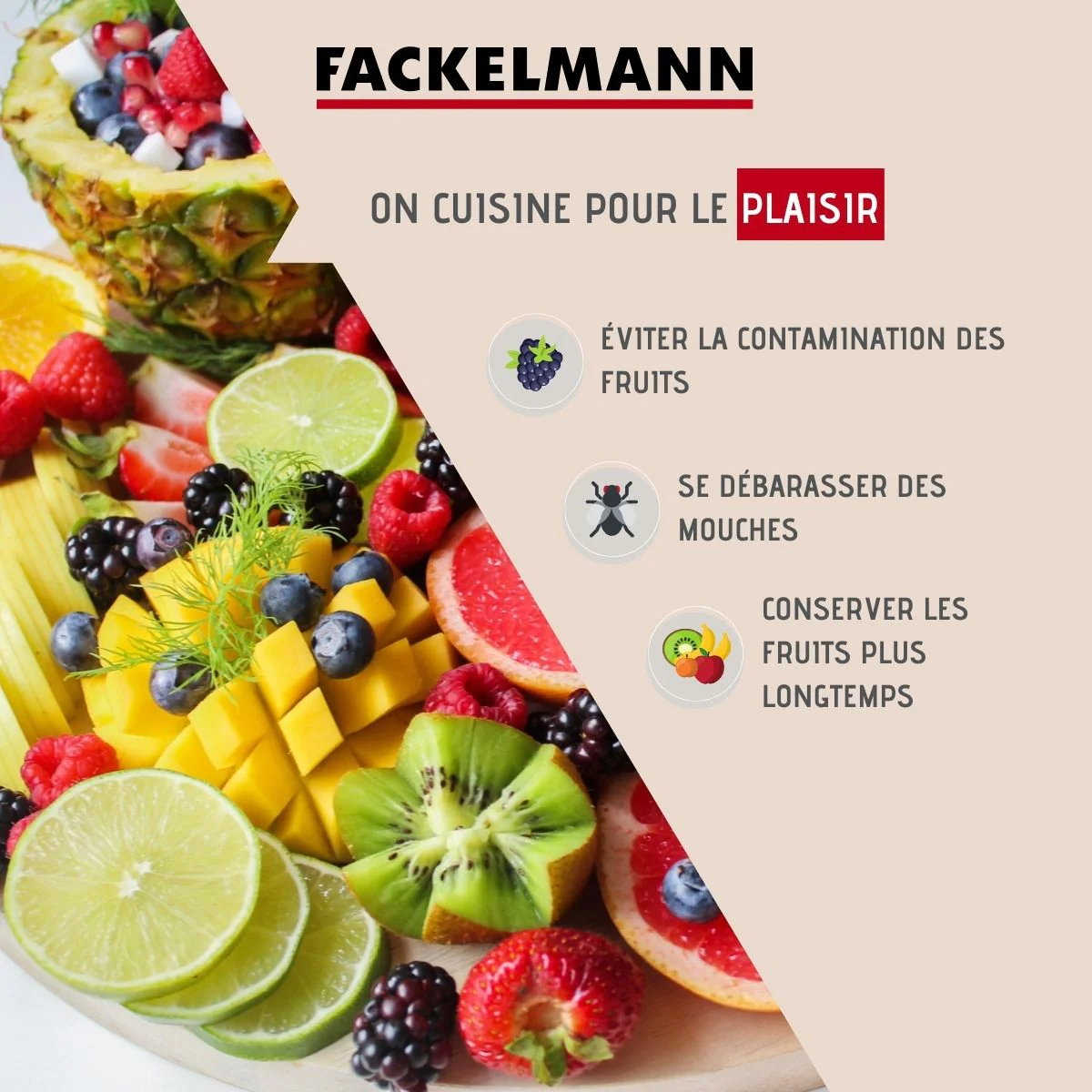 Piège à mouches Fackelmann Tecno Fackelmann
