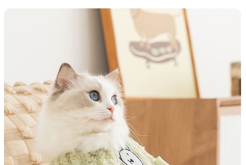 Cissilli - Chenille top met dierenapplicatie (verschillende ontwerpen)