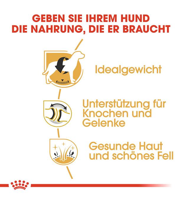 ROYAL CANIN® Trockenfutter für Hunde