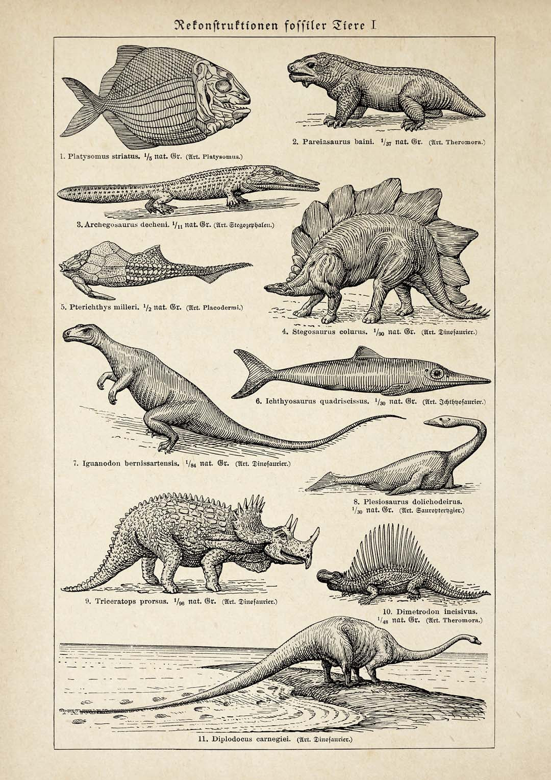 Antike Dinosaurier und Fossilien
