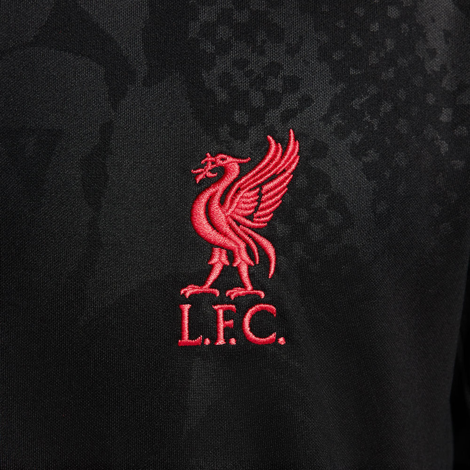 Nike Liverpool Pre-Match Top 2024/2025