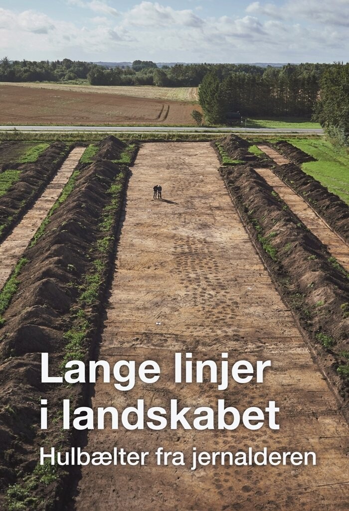 Lange Linjer I Landskabet - Bog