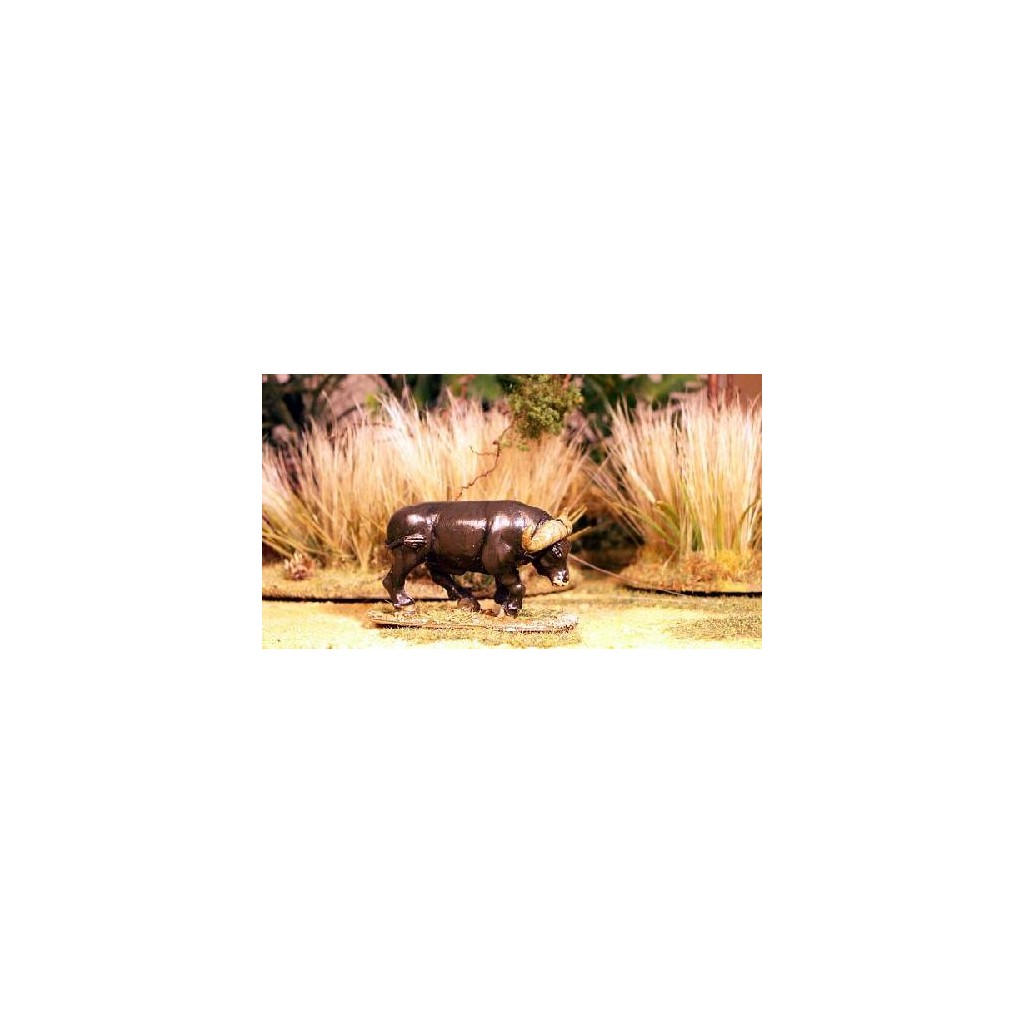 Cape Buffalo