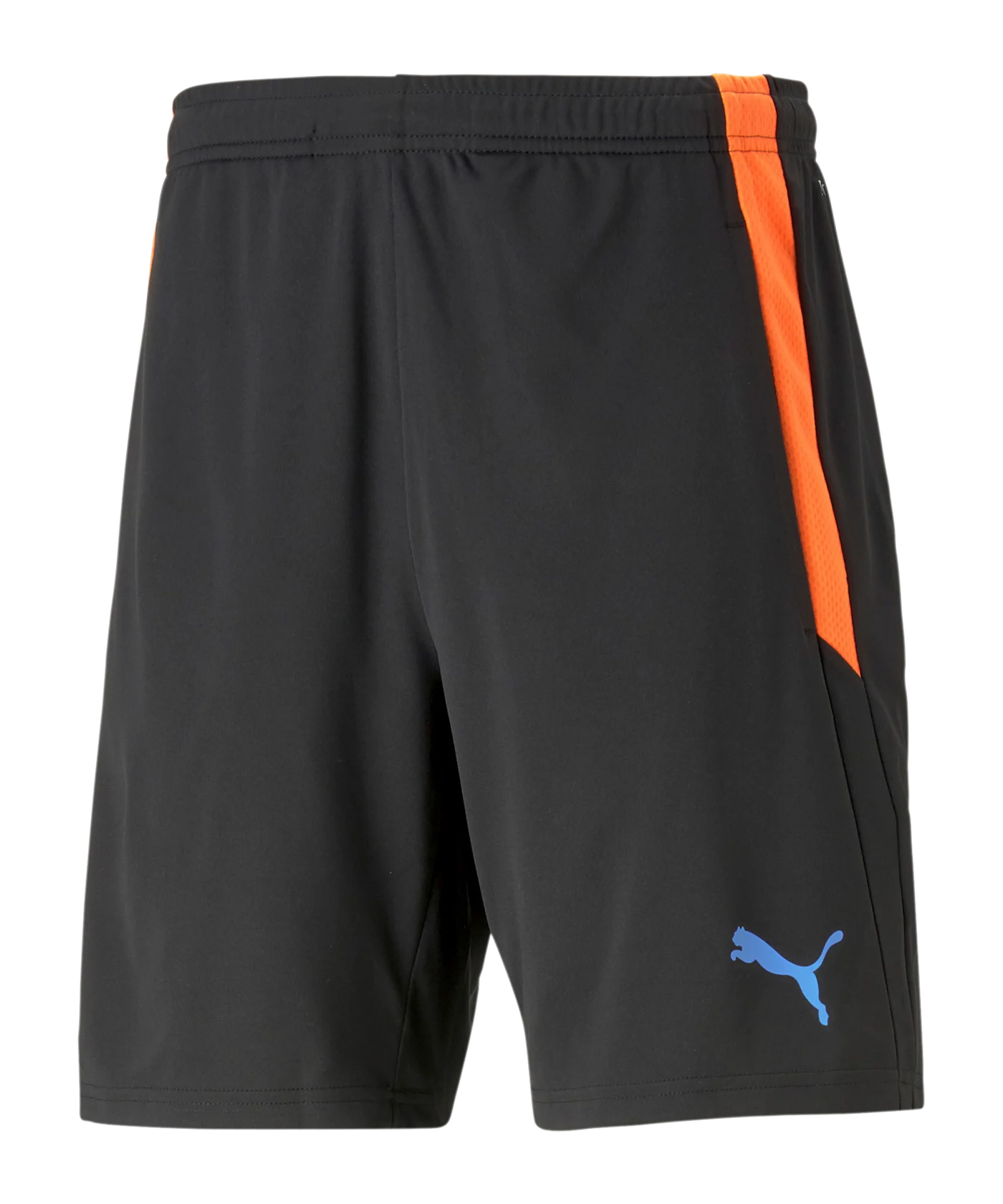 PUMA teamLIGA Short 2 Schwarz F50