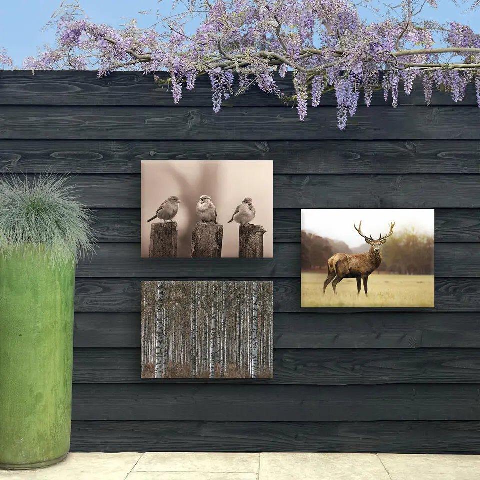 Art for the Home Vroege Vogels Buitencanvas Sepia 50x70 cm