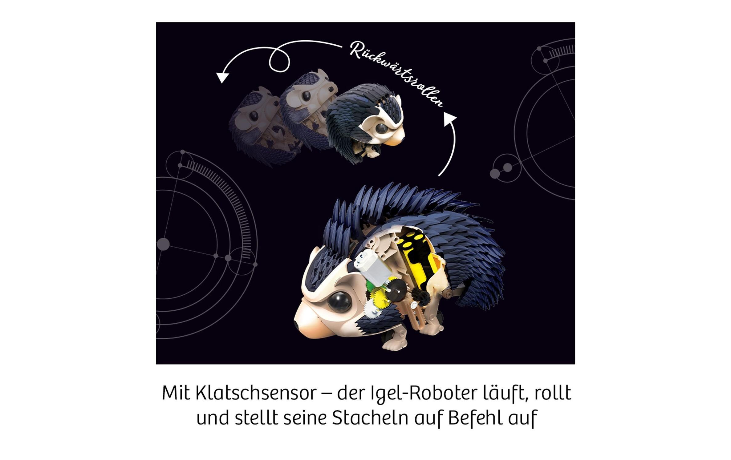 Experimentierkasten NunaIgel-Roboter