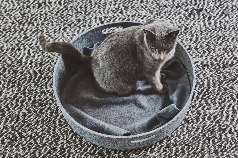 MiaCara Unica kattenplaid greige