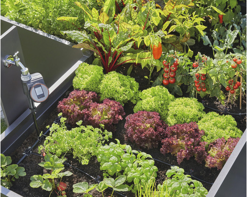 GARDENA Micro-Drip Startset Beet automatische bewateringsset (voor maximaal 35 perkplanten)