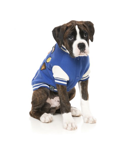 Fuzzyard The Letterman Jacket Blauw - Hondenkleding