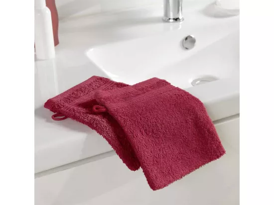 Lot de 2 Gants de Toilette 