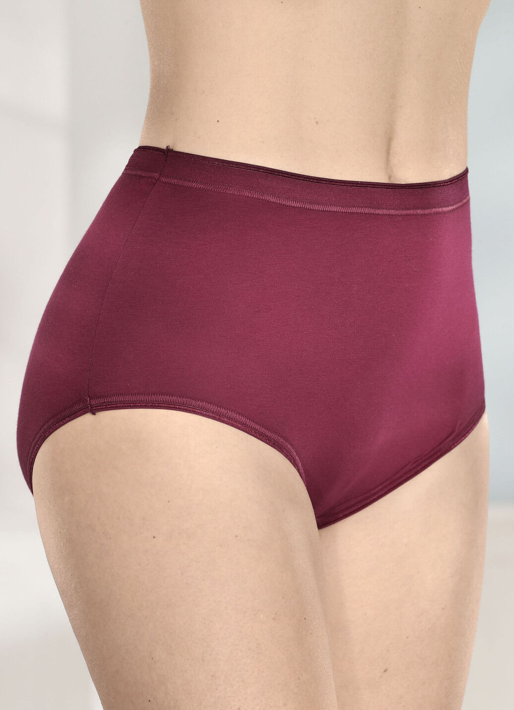 brio lingerie Fünferpack Slips mit elastischen Abschlüssen