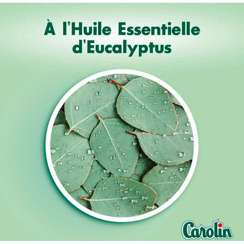 Lingettes nettoyantes extra-larges Carolin anti-bactérien - Eucalyptus - Paquet de 80