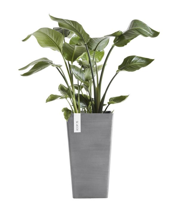 Ecopots Kunststoff-Topf Rotterdam Hoch,